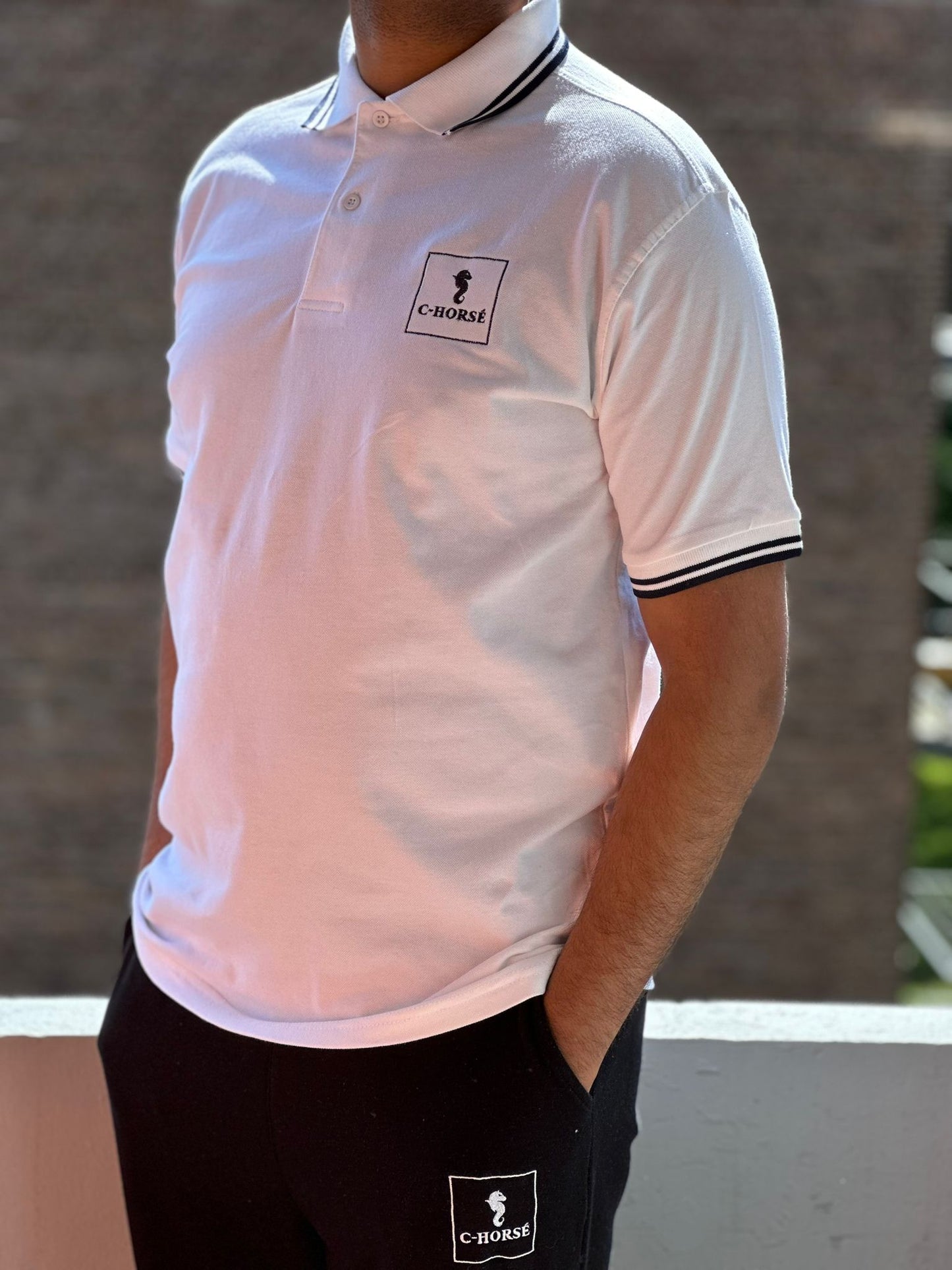 AB80 - Polo